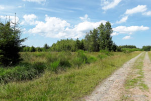 Sentier autour du gîte