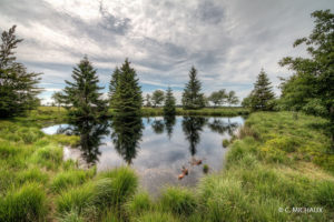 Plan d'eau Fagnes