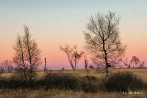 Ciel rosé Fagnes