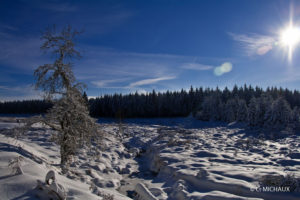 Paysage neige au soleil