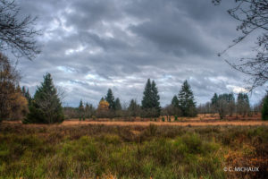 Fagnes sous ciel gris