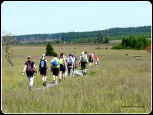 Promenade en Fagnes